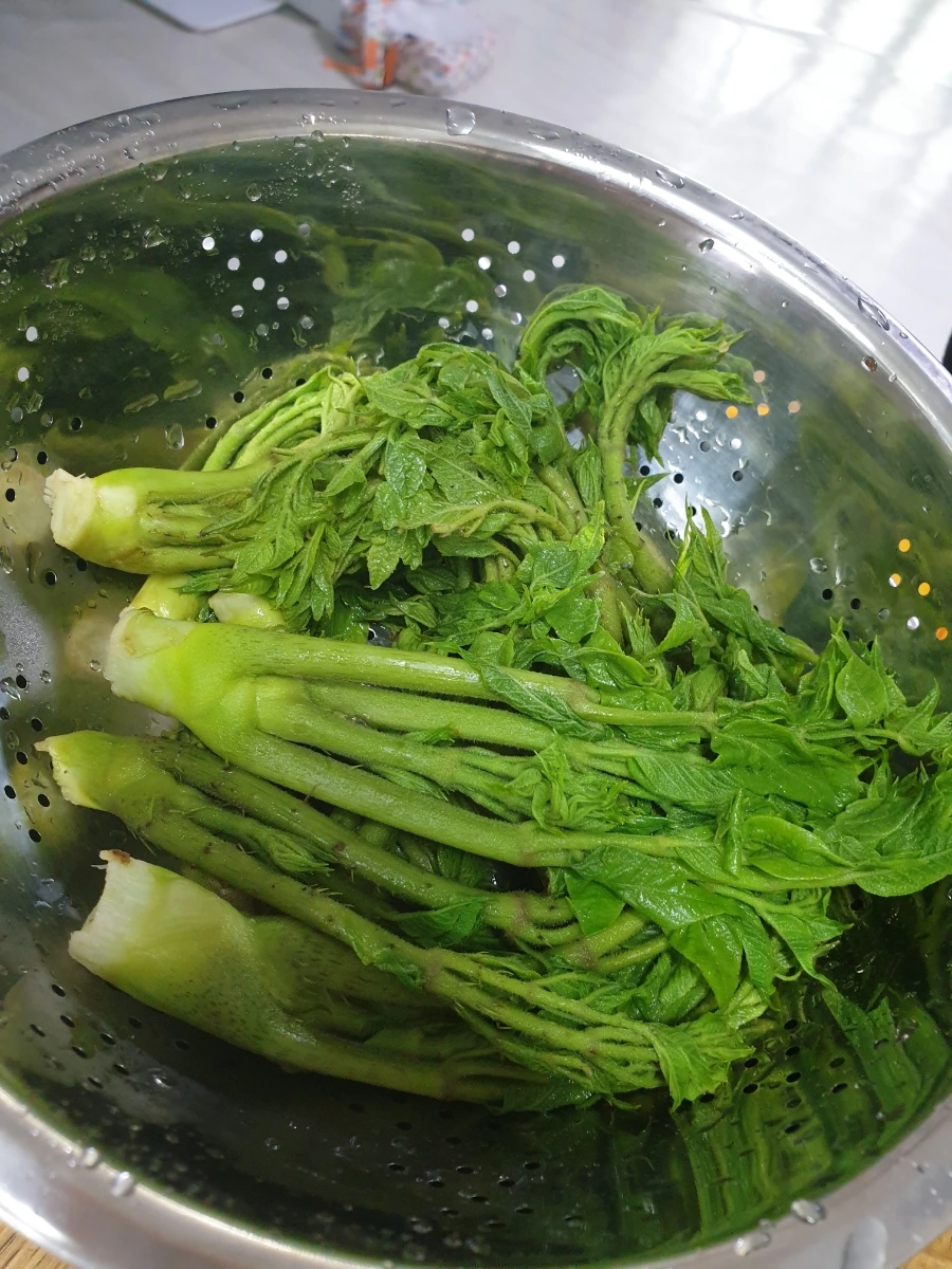 20220418%EF%BC%BF132457.jpg?type=w1