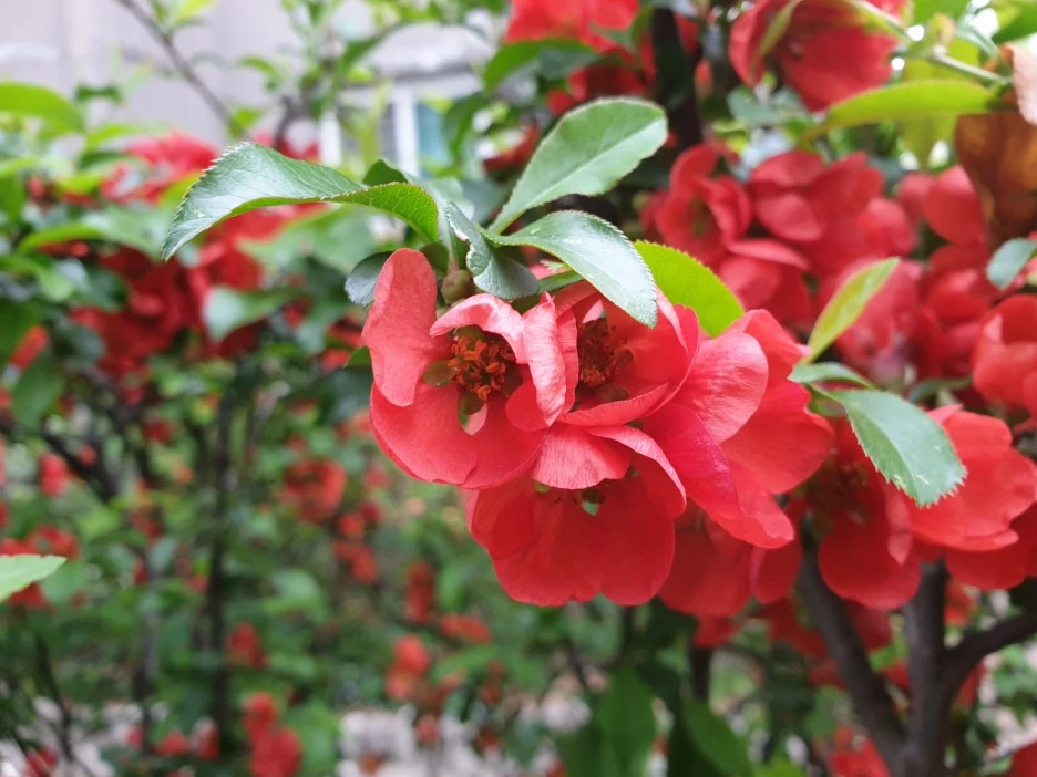 20220414_135027.jpg?type=w1