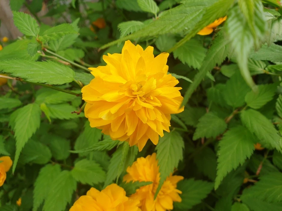 20220418_102009.jpg?type=w1