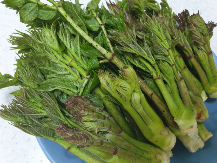 20220418%EF%BC%BF131044.jpg?type=w1