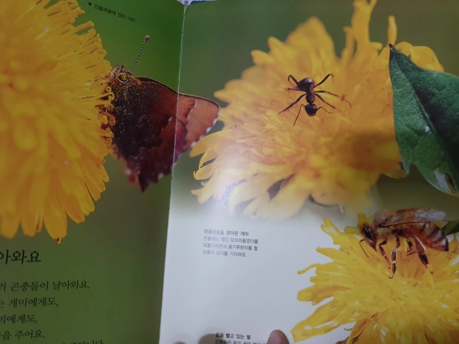 20220408%EF%BC%BF161146.jpg?type=w1