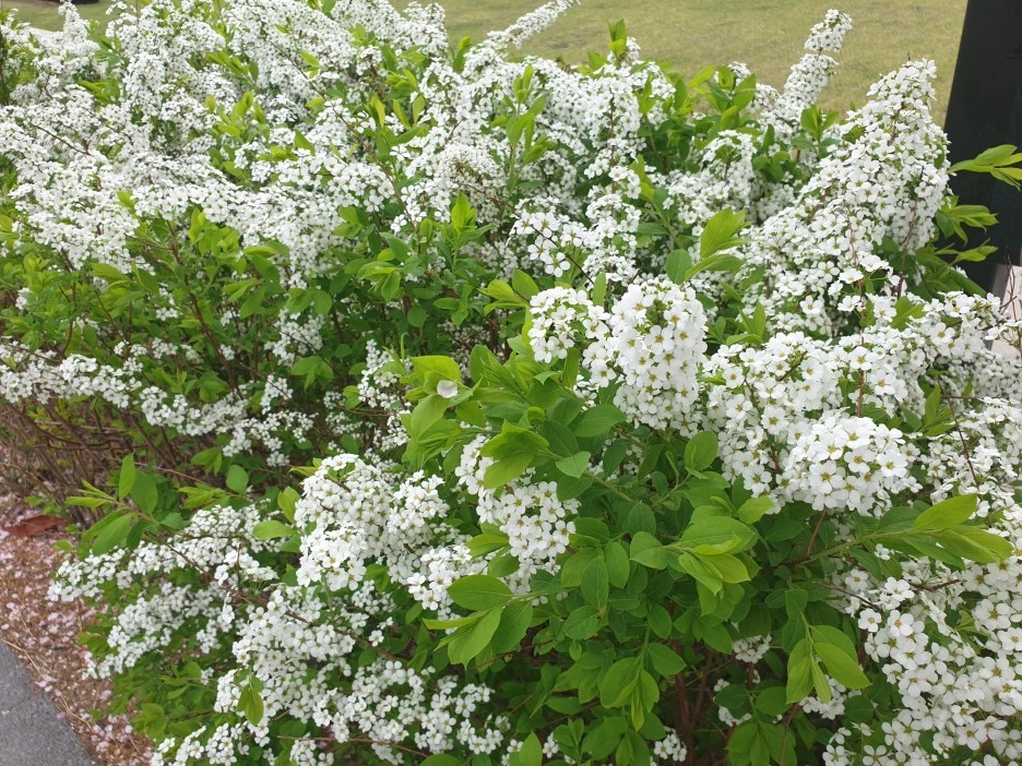 20220414_114015.jpg?type=w1