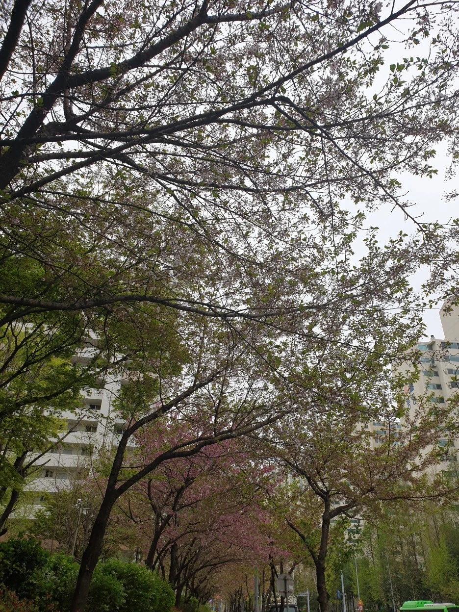 20220414_114225.jpg?type=w1