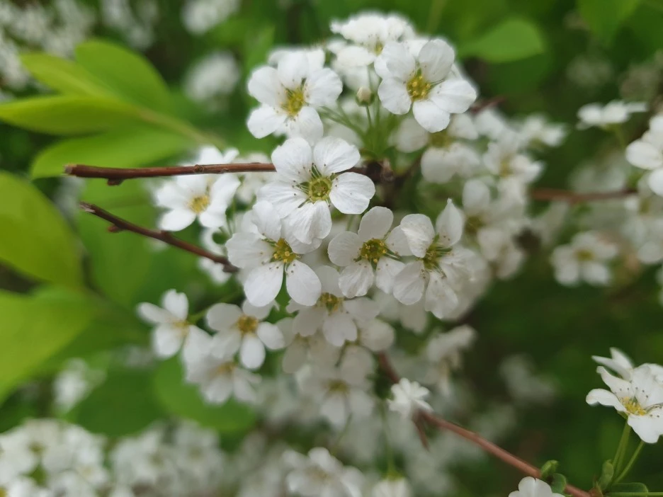 20220414_114049.jpg?type=w1