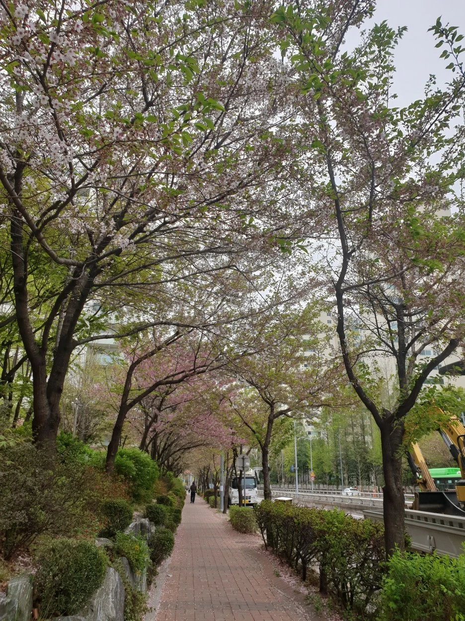 20220414_114222.jpg?type=w1