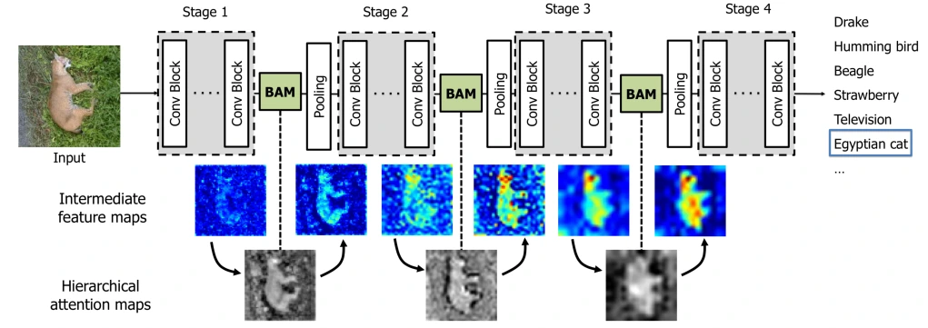 I_Zs3Fs9bCEhvVMGugTPg6w_OgdIo_SUuv7pJTdvAF1wuy9gdZfkssJA7F84ix4AZsw39GjIIBQXMTNz2Kh-cKeELbSA77YQ3oWkFlZT4xOQMQPWklb_GNZFqSQj0arUiBiIf-x11evrgHPaYB4-ZxkJn_QYKWrYk755x6Aa4MaY6kzh9VWlx1WGPi9mNg