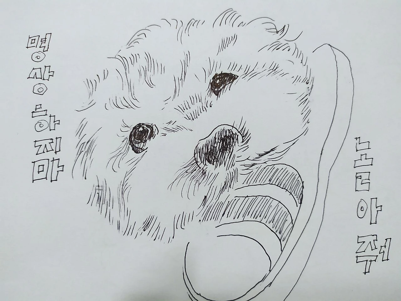 KakaoTalk_Photo_2022-04-24-21-17-50 002.jpeg