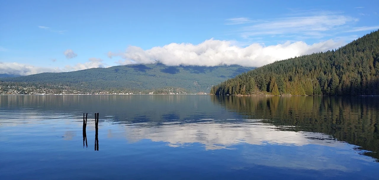 W7tn3bF8yyFYnJK0KqN-o-Zyz6-Wzv91k77ZABtOAAXoO29Ndmr_OIl5lFrjv1lmC1I7wvLST4ANzNw6D7PwCHmzmulR78UEuodsLhR_pDev26aFokT69Vm5TQkzKSAv7uecxmHGcd1EU5aEYkA_or0