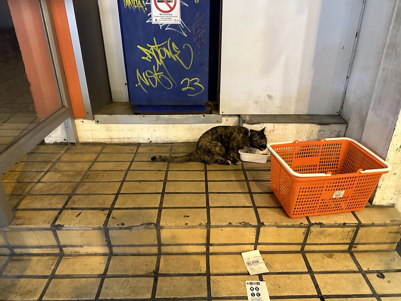 9b-1JsFZh7aXzcNgLMuaZZSQ89ExJGvKa096TCXWsM0MVGq_eArRyeL5cD3IG9G5zuR8FcpLPIYCEaBU9jhsBSbQEggTBsRSdWr-2ryPONk8SEVxImYA1-0rDrmXJ3F6NPAdjr8YbGxt0dvDX5MvIvk