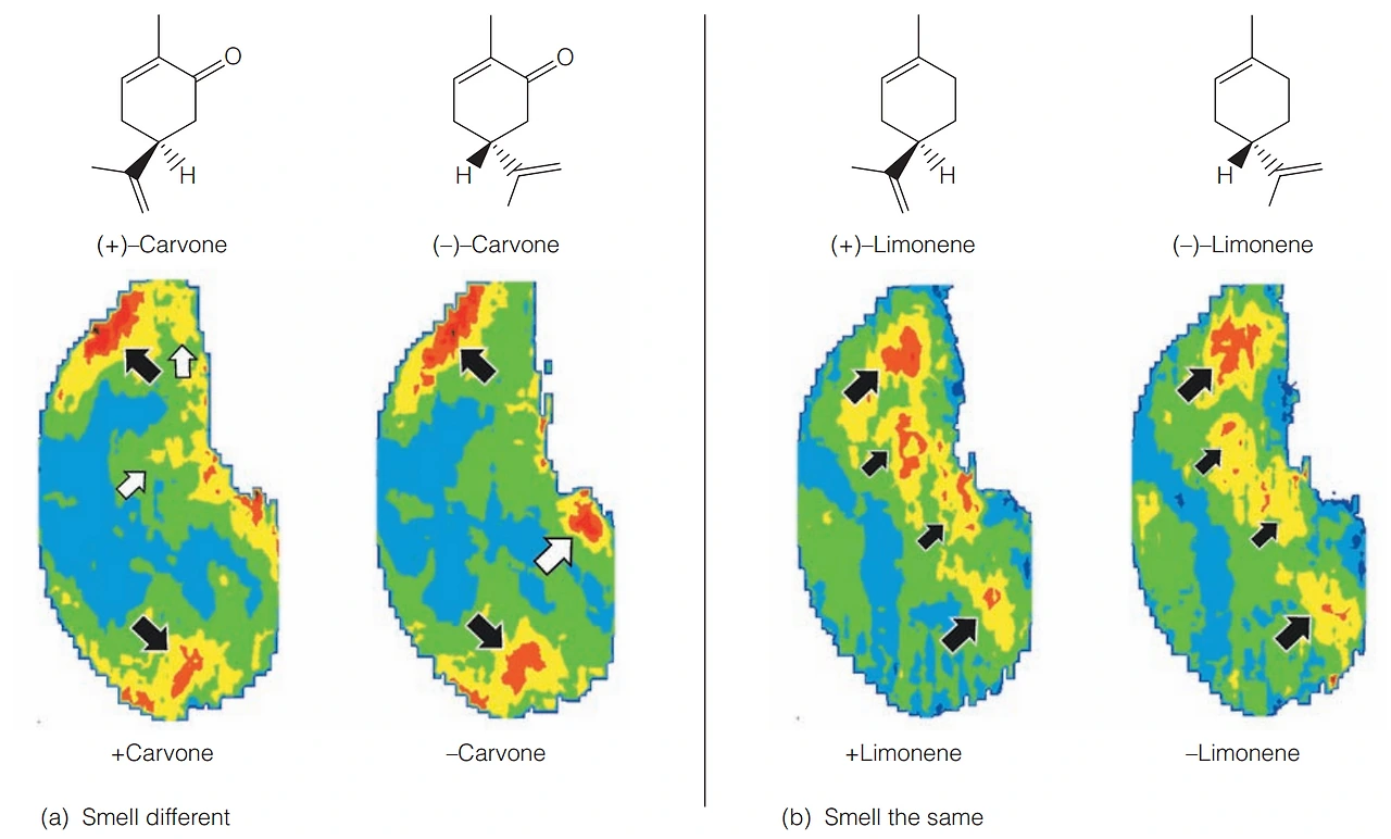 raWce2fBnutPU7cmGyLoMRMYmxGDqwpqxIPx57FUrC1h_oGYbIbbW2TVAETVIj-Ap61Vxm22VXhE0zBuX39FCkOEdBuTY3j7hln69-51nKxrnavlxq3h2eYMOOBZzZm56HJZ0FVc3arU0QK1ULor7uctvDPFVjR6s43Podxf_ps2QK8p6BQUL7HOiRIeyZTMmUJ2De8oAw