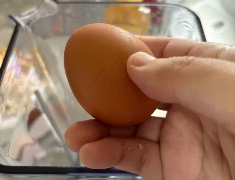 SE-a81c05a5-b15f-4644-8f8a-267674f701cc.jpg?type=w466