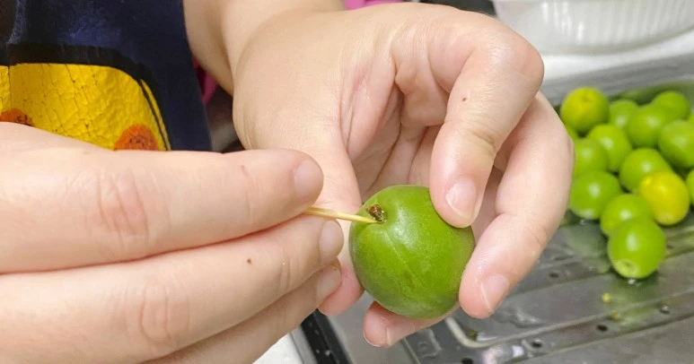 SE-b081ef84-823f-45d5-bd65-9bdaa86f94f6.jpg?type=w773