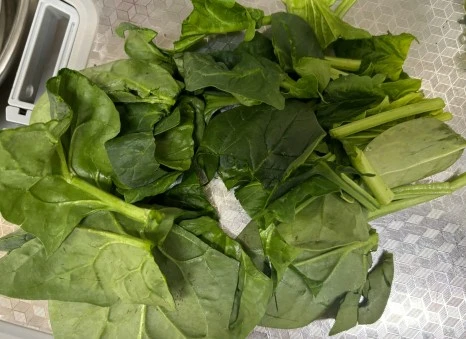 SE-266277a2-a574-48b7-aaad-5b55b30ef857.jpg?type=w466