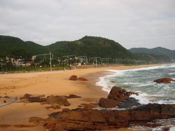 P7223431.JPG?type=w580