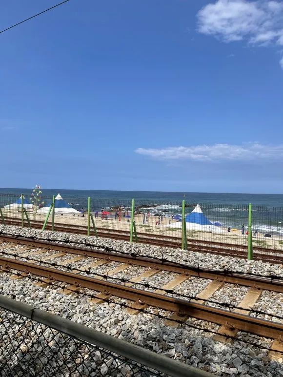 IMG_0348.jpg?type=w580