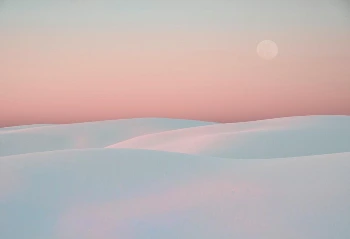 photo-1554147090-e1221a04a025.jpg?type=w966