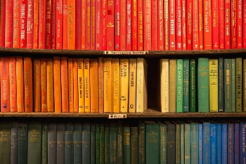 photo-1529473814998-077b4fec6770.jpg?type=w966