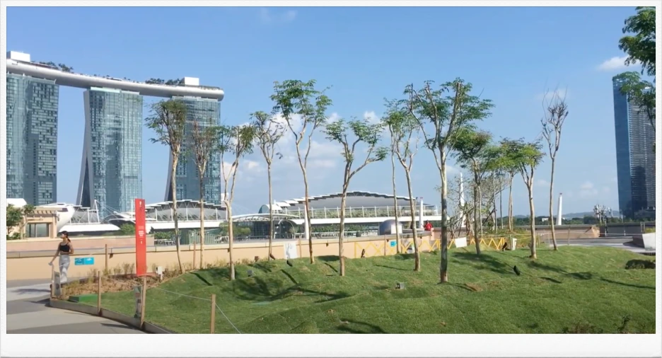 SE-30af76e6-a70b-4a39-935a-adef3276632f.png?type=w1