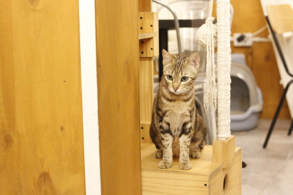 _MG_9783.JPG?type=w1