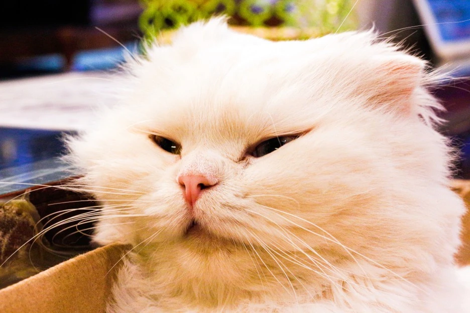 KakaoTalk_20230108_014653249_19.jpg?type=w1