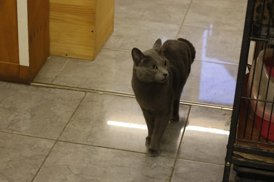 _MG_9621.JPG?type=w1