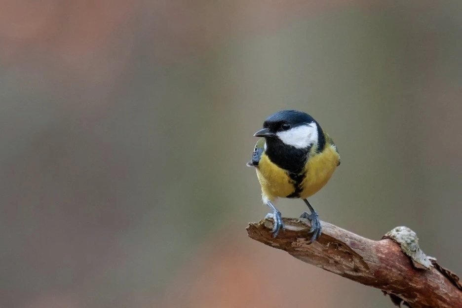 g8a634aee0d88698c696146b99156237ab1843a03e0efd780b637f3000612e252da5c4cbbbff.jpg?type=w1