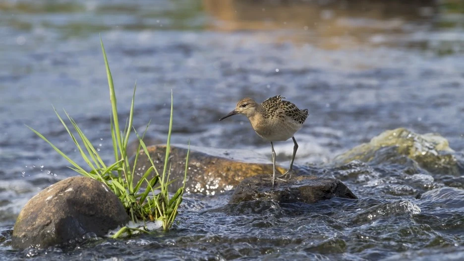 g6ecb2b8dfddfece94939dc032b36c68a4d76cb0e88683ce94e06966e512a758711bf6cd6861.jpg?type=w1