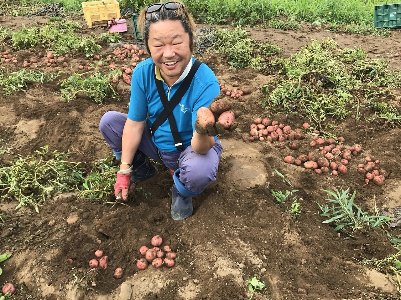 3. 감자 수확하는 아버지.JPG