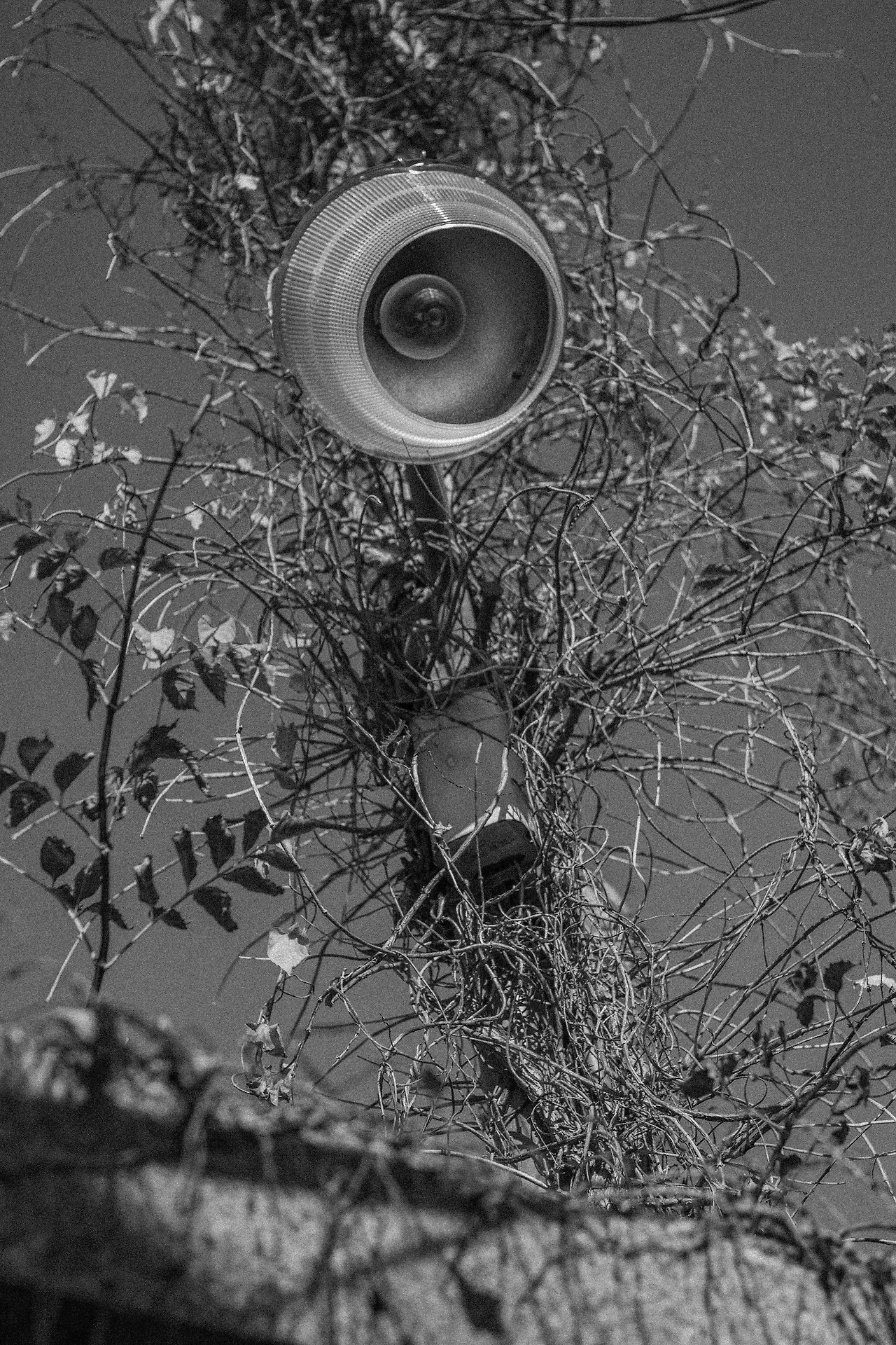 IMG_0005완성 1완료.JPG