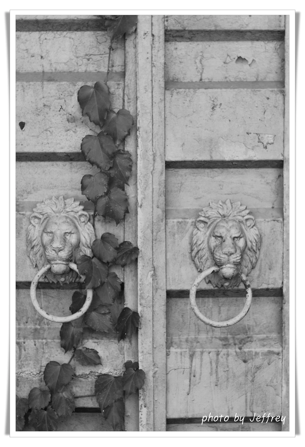 batch_본성 의 소멸IMG_0044.JPG