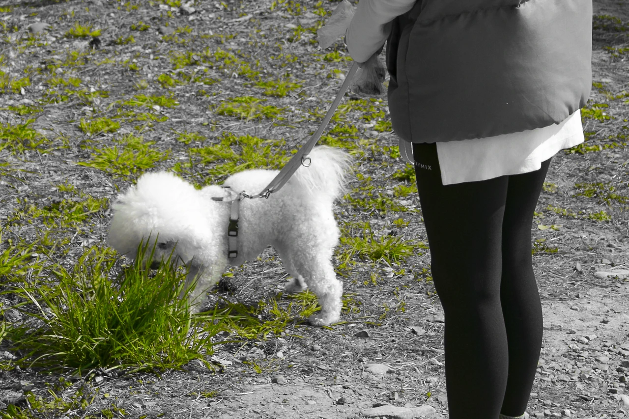 IMG_1777-2.jpg 리터칭최종 1.JPG