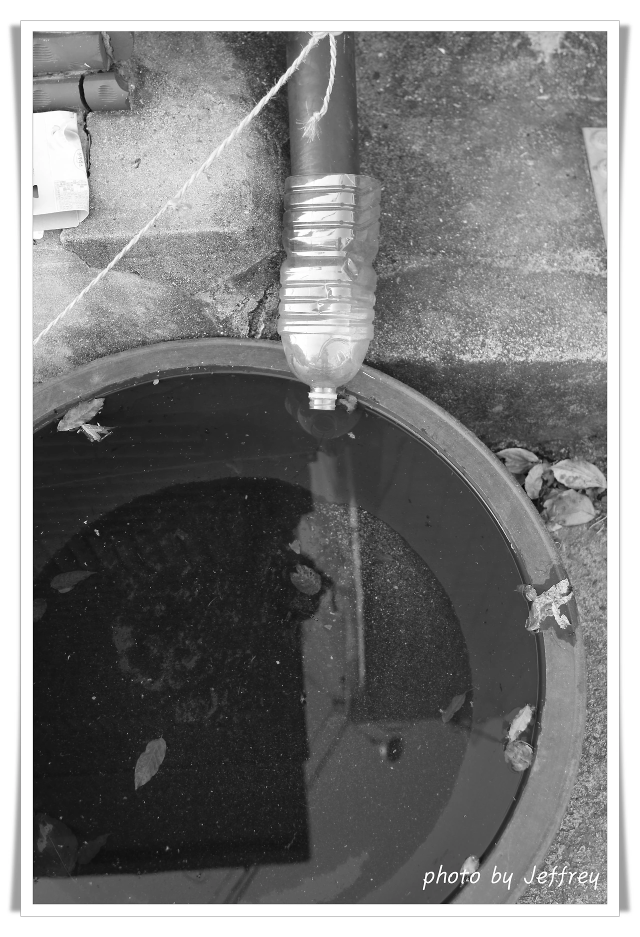 batch_본성 의 소멸IMG_9975.JPG