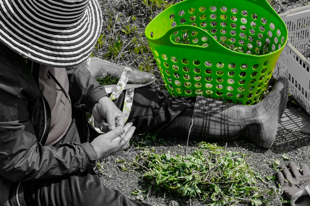 IMG_1715.jpg 리터칭최종.JPG