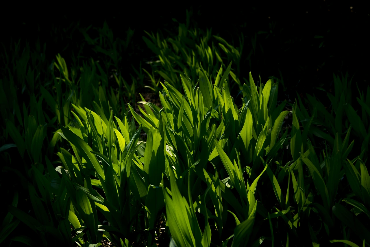 IMG_1359 복사최종.JPG