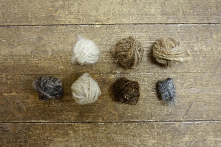 image_4595562291486906705802.jpg?type=w1