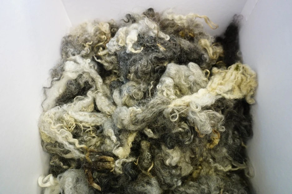 image_5121569901486576814562.jpg?type=w1