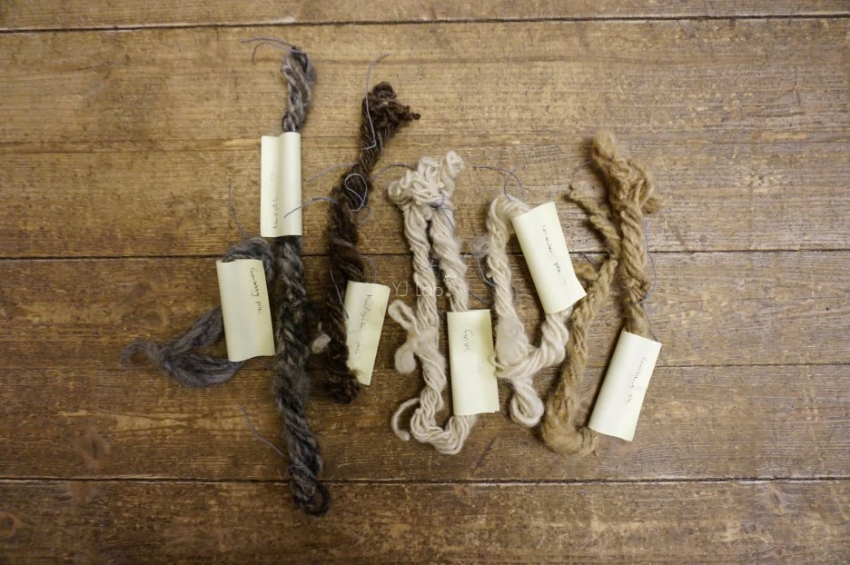 image_7062189451486906705808.jpg?type=w1