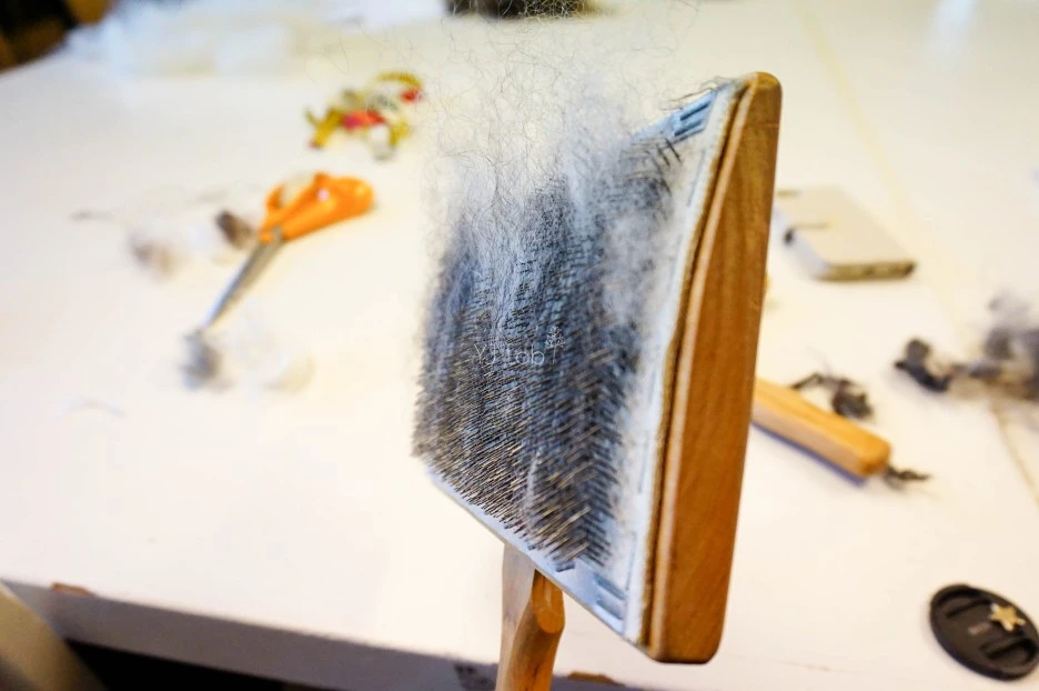 image_394444661486576814569.jpg?type=w1