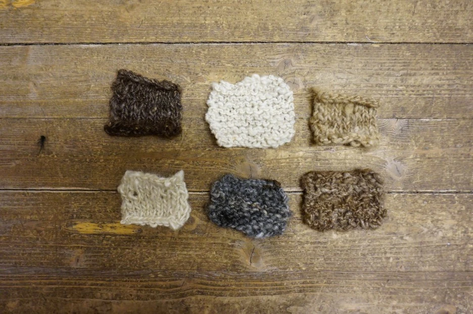 edited-04031.jpg?type=w1