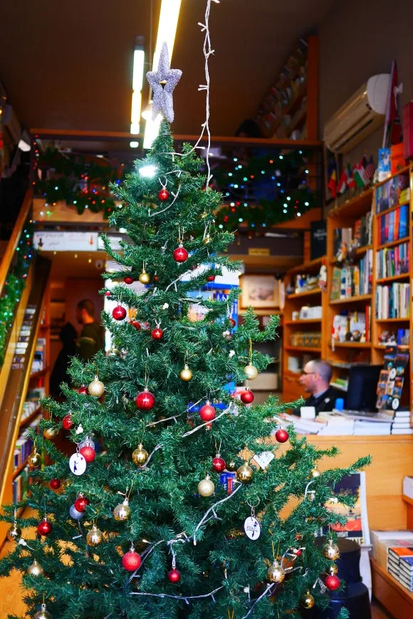 P1230244.JPG?type=w580