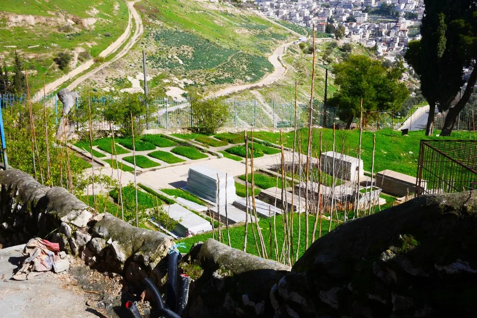 P1230226.JPG?type=w1