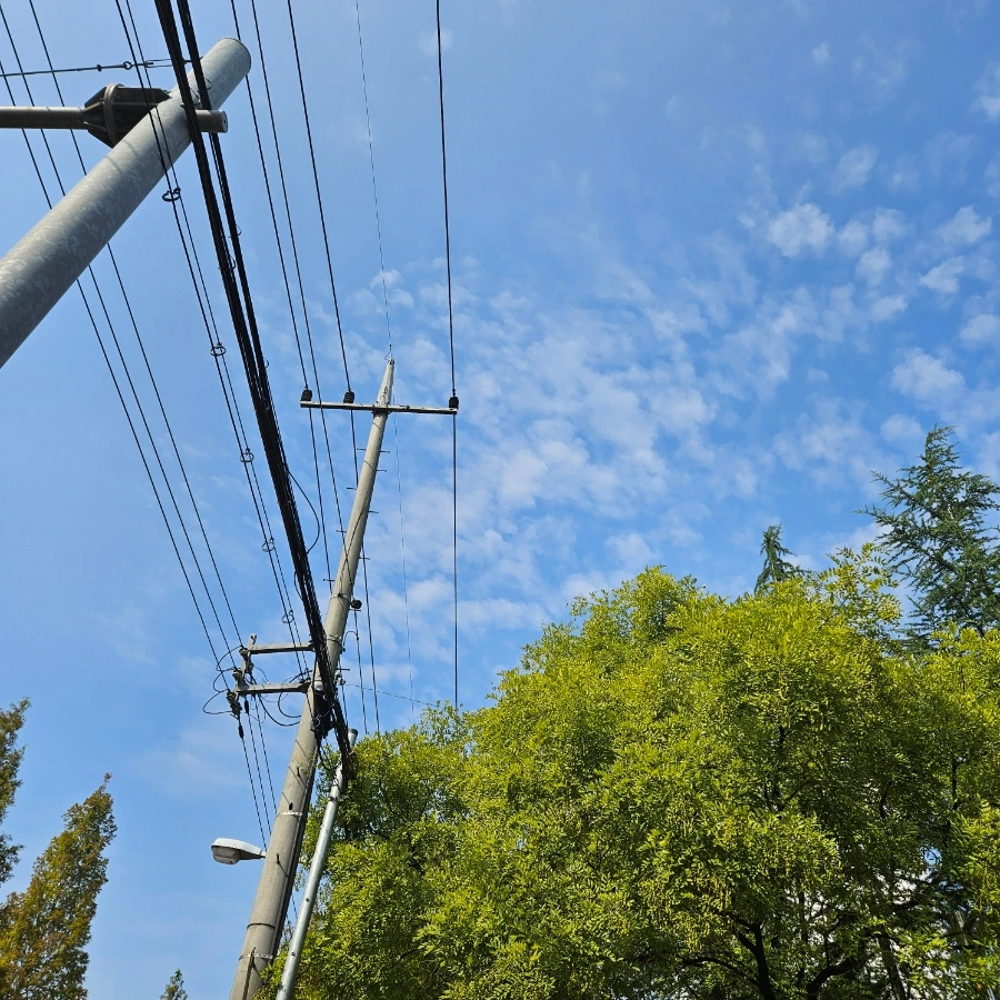 20241008%EF%BC%BF101910.jpg?type=w1