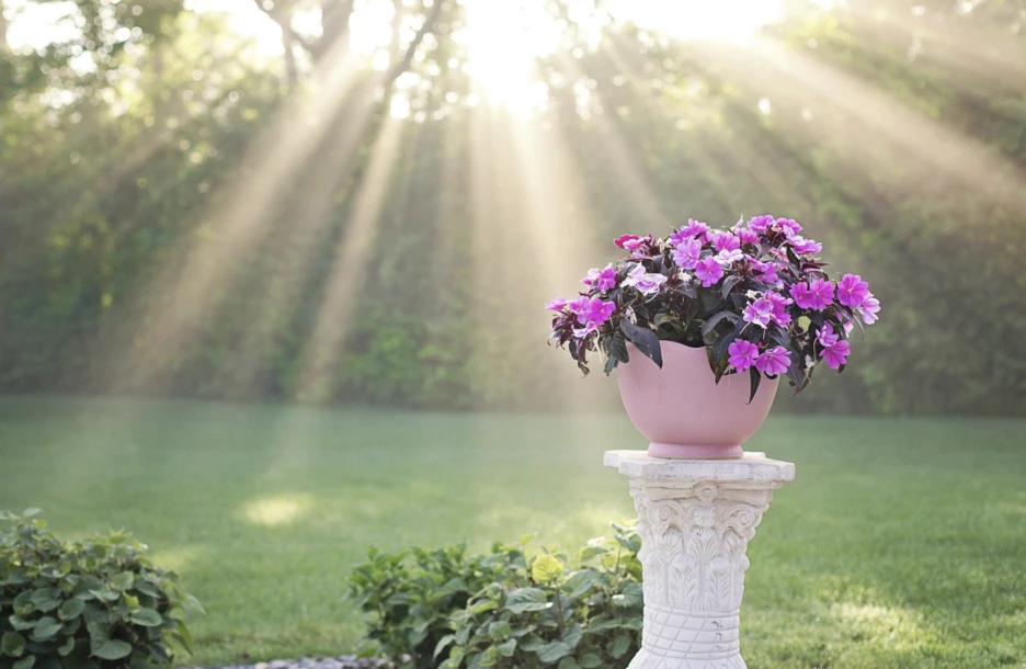 %EC%97%90%EC%84%B8%EC%9D%B4_%EC%93%B0%EA%B8%B0%EC%9D%98_%EA%B0%80%EC%9E%A5_%EC%A4%91%EC%9A%94%ED%95%9C_%EB%B2%95%EC%B9%99__%EC%A7%84%EC%8B%AC%EA%B3%BC_%EA%B5%AC%EC%B2%B4%EC%84%B1_2.png?type=w1