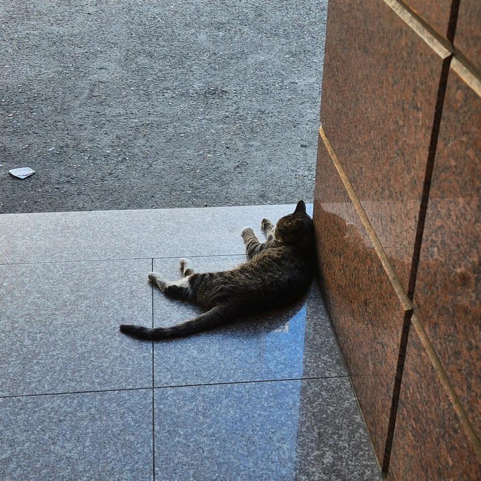 KakaoTalk_Photo_2023-06-04-17-06-46.jpeg?type=w1