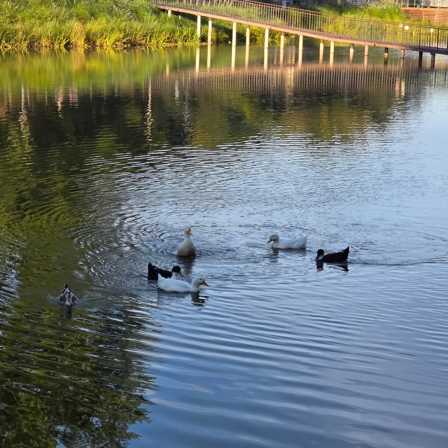 900%EF%BC%BF20250817%EF%BC%BF064814.jpg?type=w1