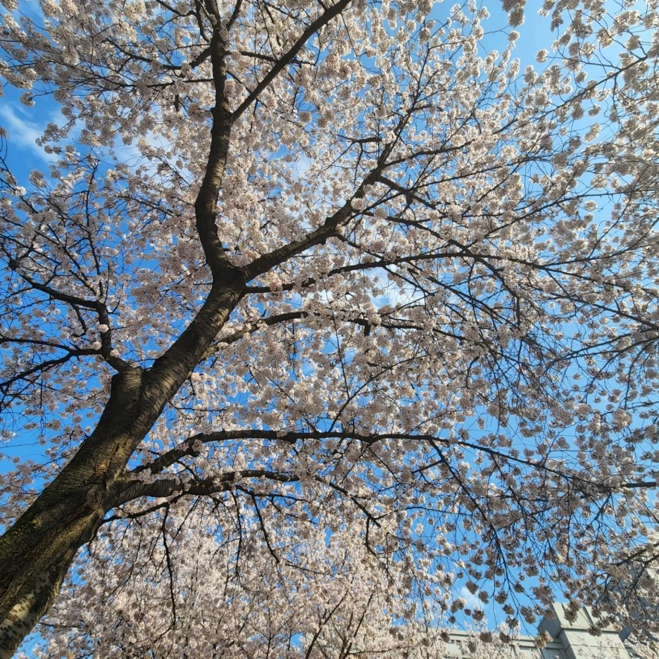 KakaoTalk_Photo_2022-04-05-11-22-21_003.jpeg?type=w1