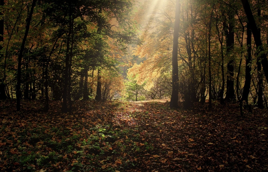 %EC%9E%90%EA%B8%B0%EA%B3%84%EB%B0%9C%EC%9D%98_%EC%B2%AB%EA%B1%B8%EC%9D%8C_%ED%95%98%EB%A3%A8_10%EB%B6%84%EC%9C%BC%EB%A1%9C_%EC%8B%9C%EC%9E%91%ED%95%98%EB%8A%94_%EB%B3%80%ED%99%94%EC%9D%98_%EB%B2%95%EC%B9%99_3.png?type=w1