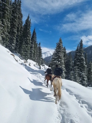 IMG_3585.JPG?type=w773