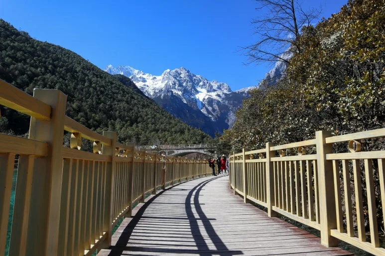 noppon-meenuch-uXQgDVUzSAQ-unsplash.jpg?type=w773