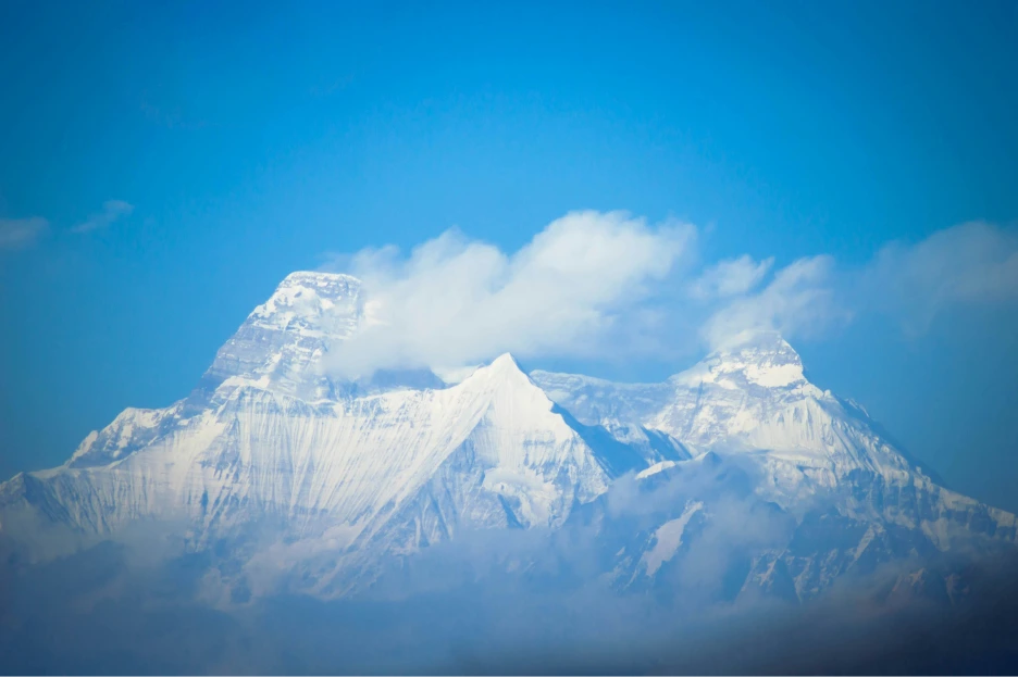 shaunak-mirashi-65s9ZbRbTbU-unsplash.png?type=w1